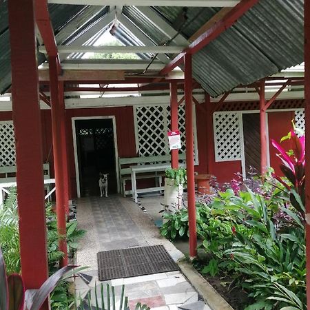 Hospedaje Meryscar Tortuguero Exterior foto