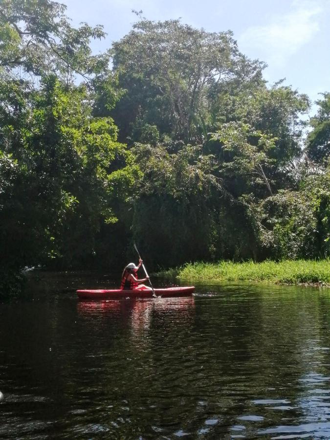 Hospedaje Meryscar Tortuguero Exterior foto