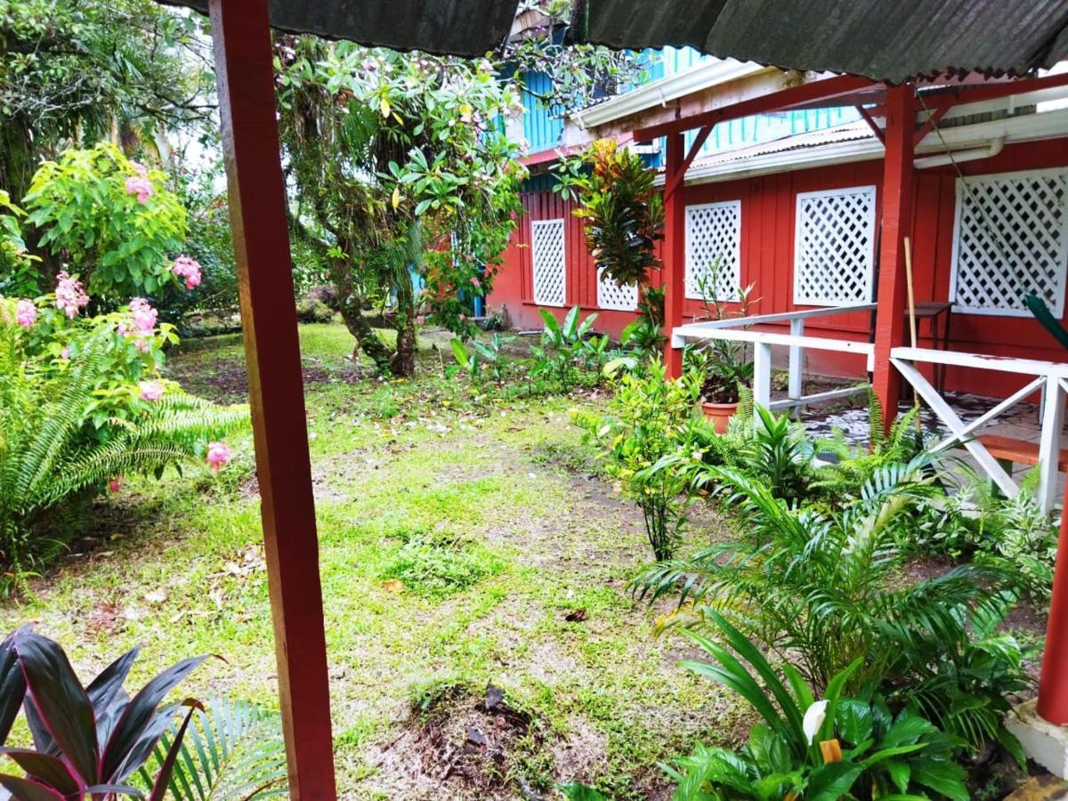 Hospedaje Meryscar Tortuguero Exterior foto