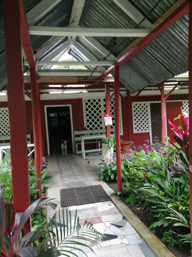 Hospedaje Meryscar Tortuguero Exterior foto