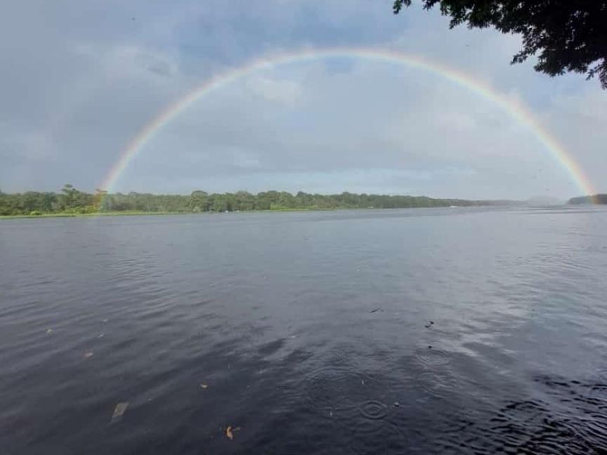 Hospedaje Meryscar Tortuguero Exterior foto