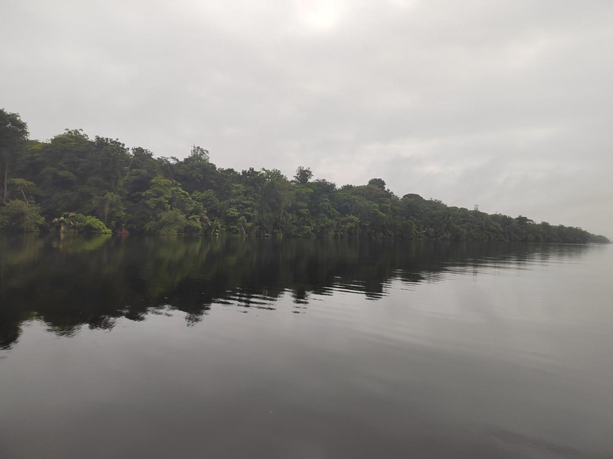 Hospedaje Meryscar Tortuguero Exterior foto