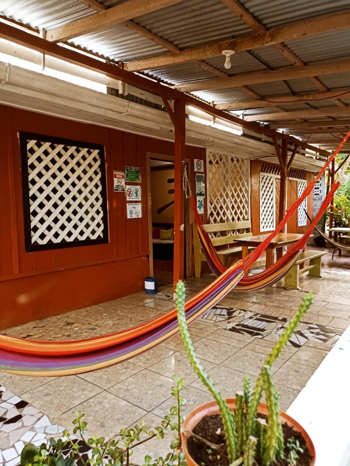 Hospedaje Meryscar Tortuguero Exterior foto