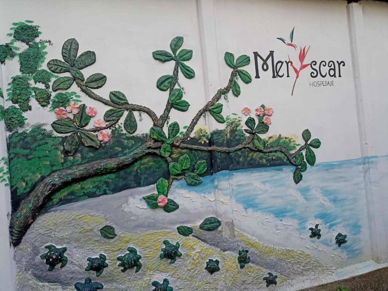Hospedaje Meryscar Tortuguero Exterior foto