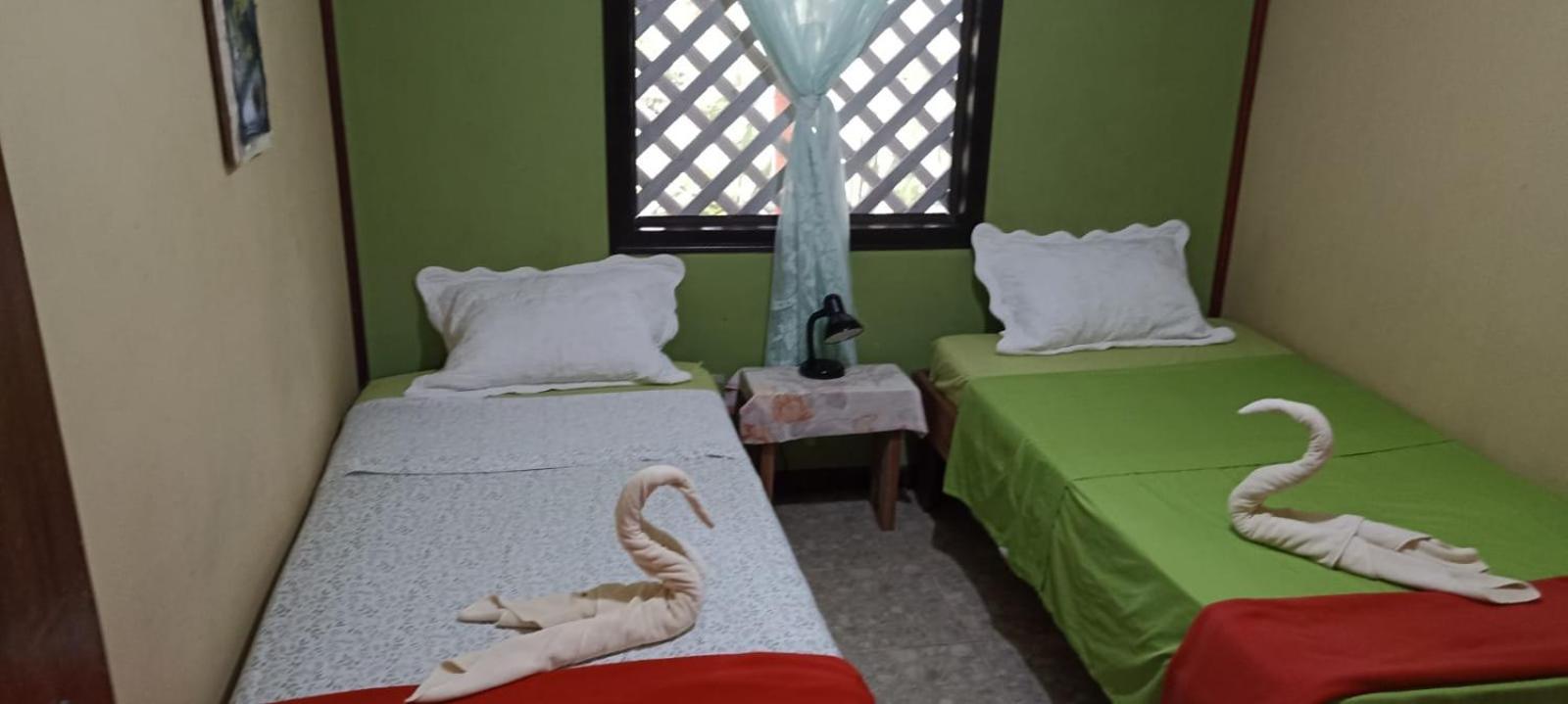 Hospedaje Meryscar Tortuguero Exterior foto