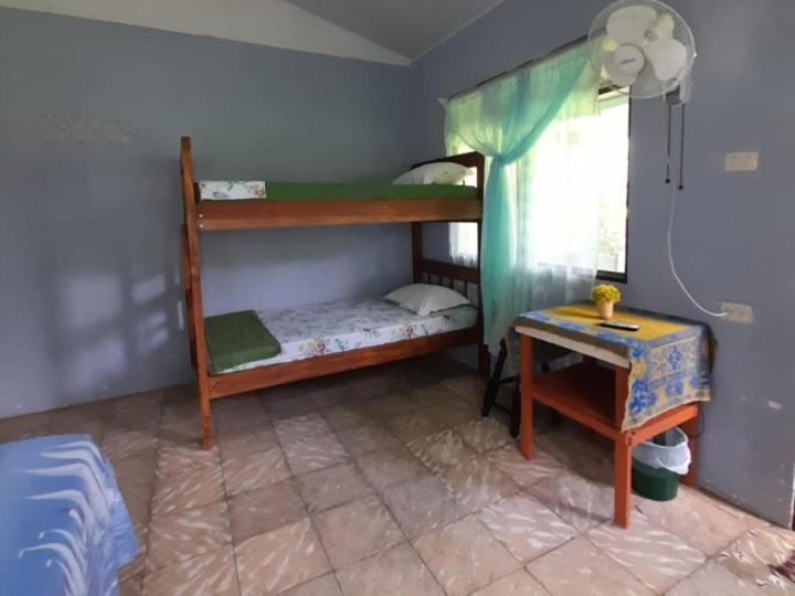 Hospedaje Meryscar Tortuguero Exterior foto