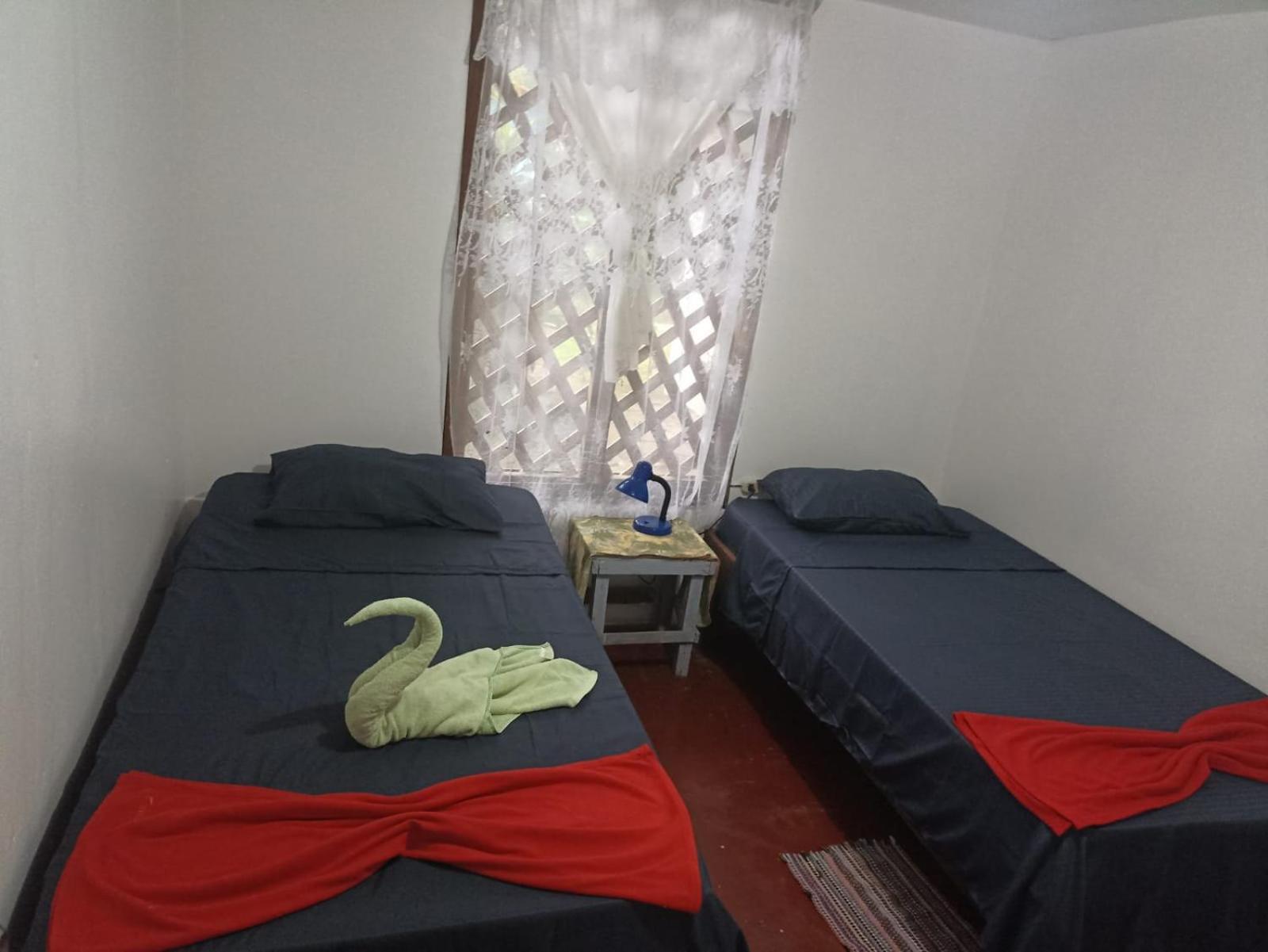 Hospedaje Meryscar Tortuguero Exterior foto