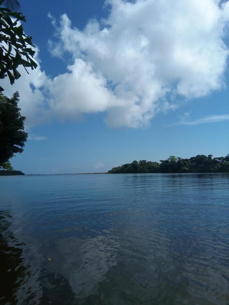 Hospedaje Meryscar Tortuguero Exterior foto