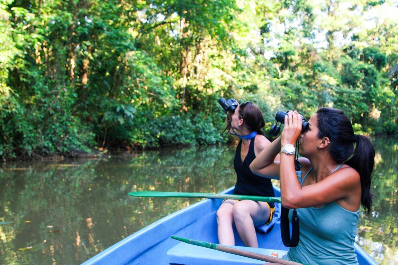 Hospedaje Meryscar Tortuguero Exterior foto